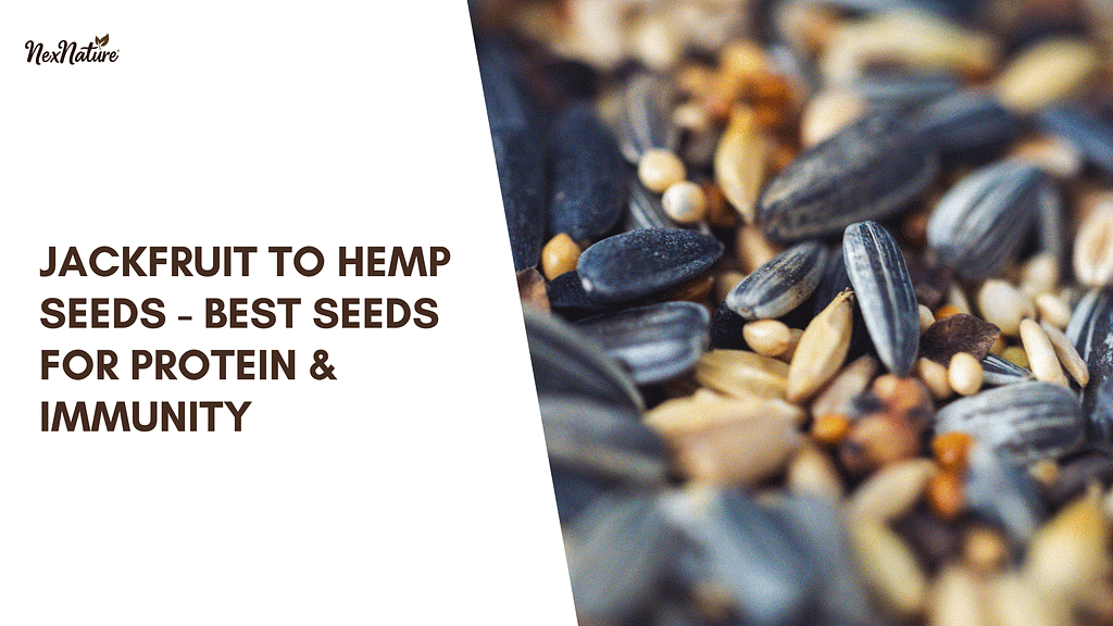Jackfruit To Hemp Seeds - Best Seeds For Protein & Immunity