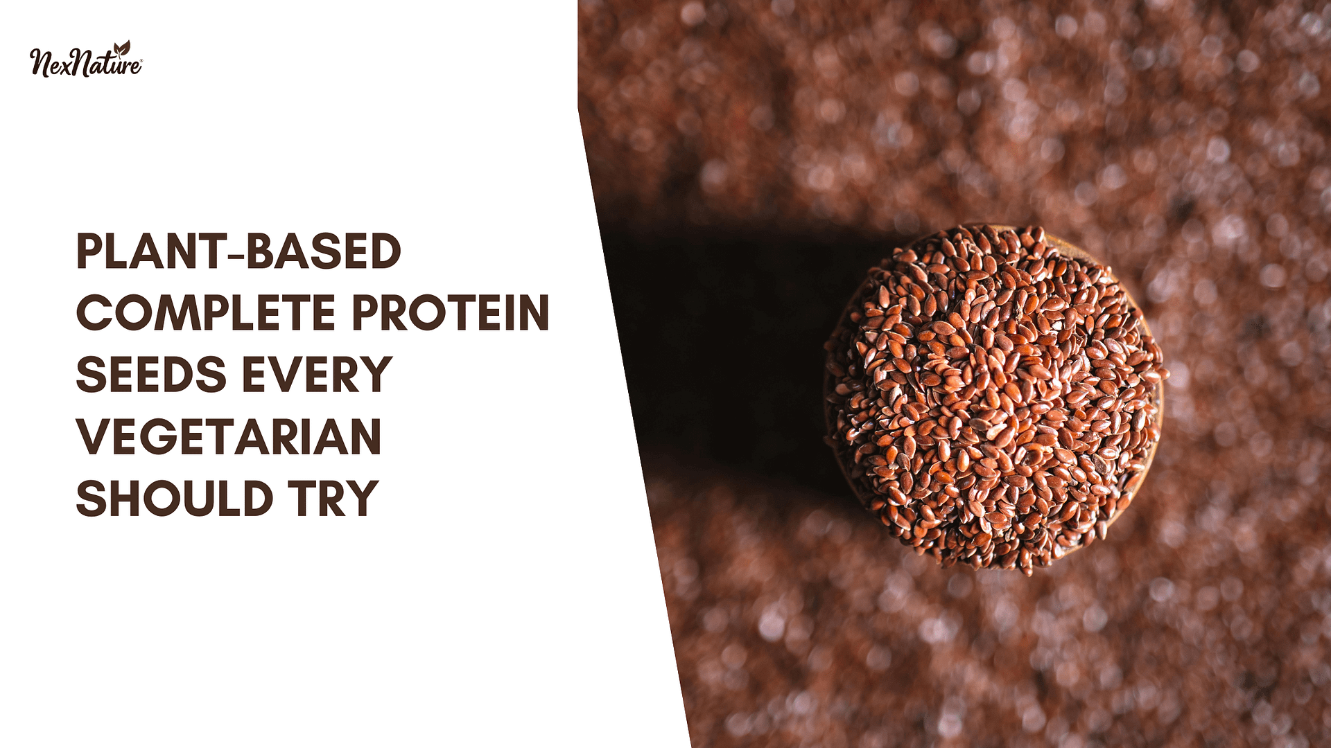 Plant-Based Complete Protein Seeds Every Vegetarian Should Try