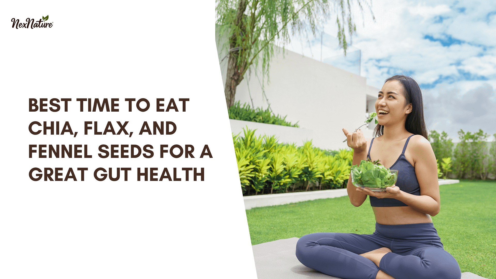 Best Time to Eat Chia, Flax, and Fennel Seeds for a Great Gut Health